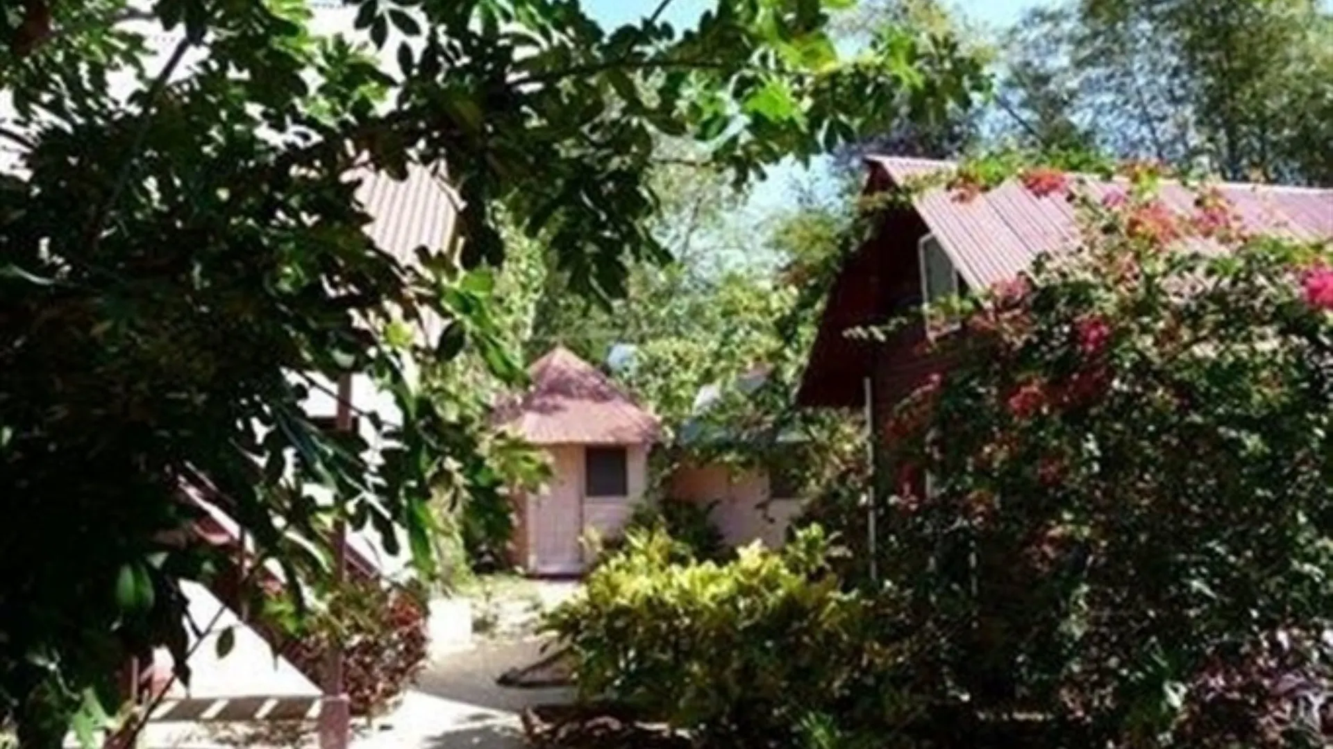 The Negril Yoga Centre Hotel 2*,  Jamaica