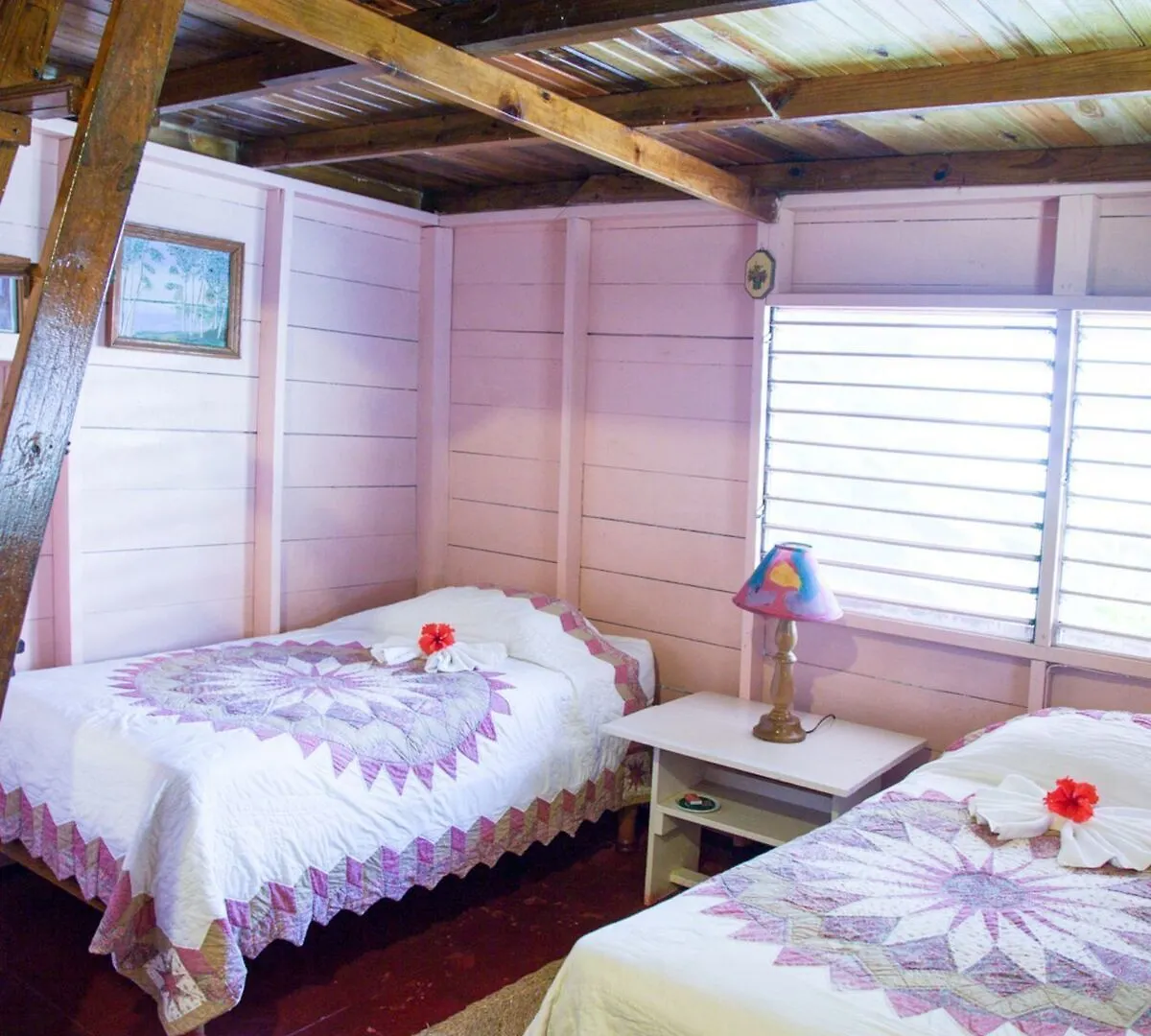 **  The Negril Yoga Centre Hotel Jamaica